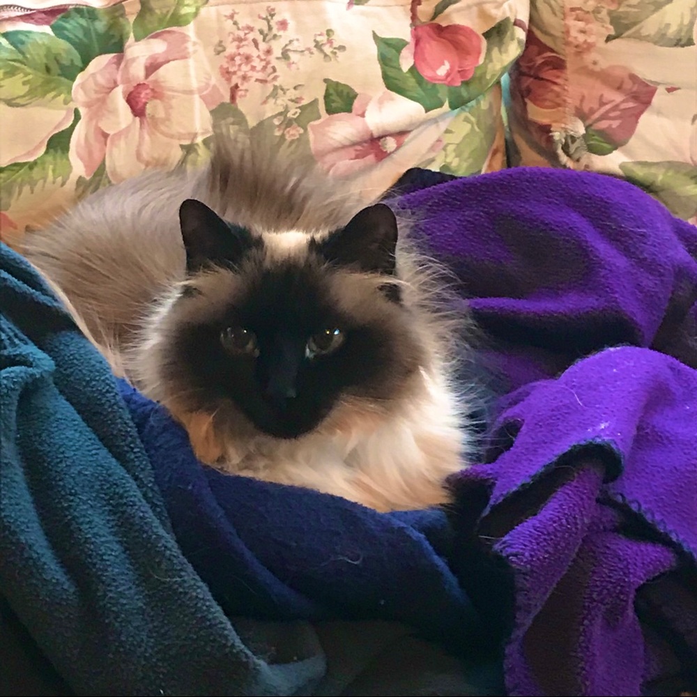 Meet your Posher, Jenna